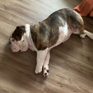 Meet your Posher, Reyna